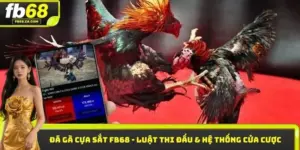 Đá gà cựa sắt FB68