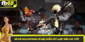 Đá gà Philippines