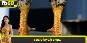 Soi vảy gà chọi FB68